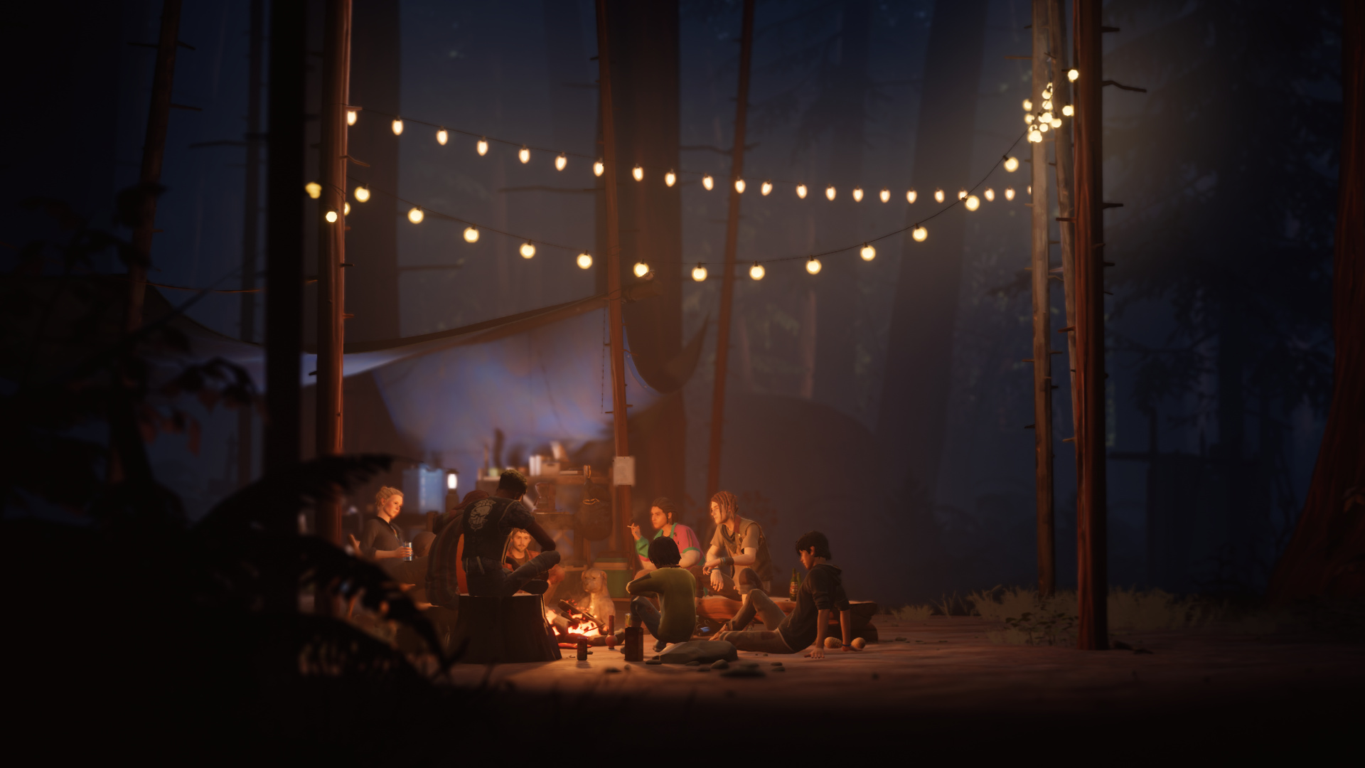 图片[3]-奇异人生2/Life is Strange 2 - 方舟游戏-方舟游戏