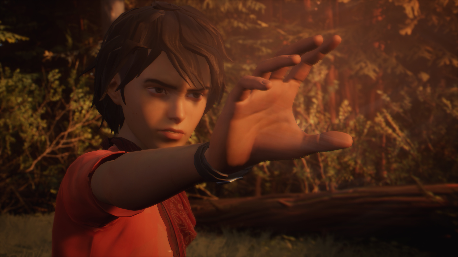 图片[2]-奇异人生2/Life is Strange 2 - 方舟游戏-方舟游戏